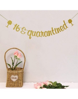 Banners & Garlands 16 & Quarantined Banner- 16th Birthday Party Decorations- Happy 16th Birthday Party Sign- Gold Glitter - C...