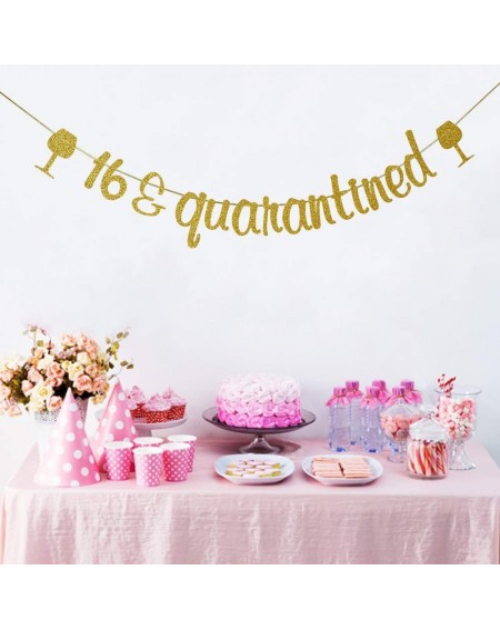 Banners & Garlands 16 & Quarantined Banner- 16th Birthday Party Decorations- Happy 16th Birthday Party Sign- Gold Glitter - C...