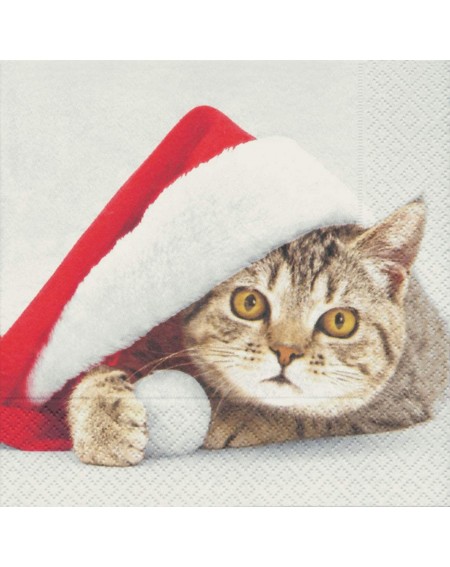 Tableware Christmas Napkins Christmas Cat Paper Napkins Disposable Napkins Christmas Party Napkins for Holiday Party Lunch or...