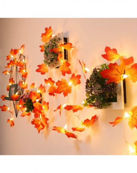 Indoor String Lights 5 Pack Maple Leaves Garland String Lights-Thanksgiving Decorations Fall String Lights with 50 Ft/100 LED...