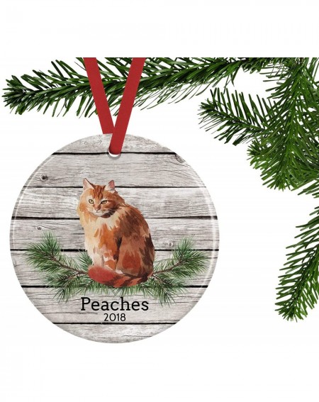 Ornaments Orange Cat Ornament- Personalized Pet Gifts- Round Glass Ornament- Ornament 2 Sided- Gift for Cat Lover - Orange Ca...