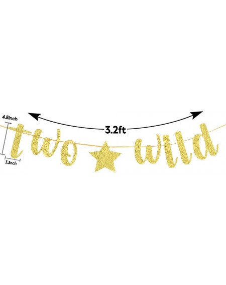 Banners Gold Two Wild Banner- Happy 2nd Birthday Banner- 2nd Birthday Party Decoratons- 2nd Birthday Party Sign - CA19CL23G3H...