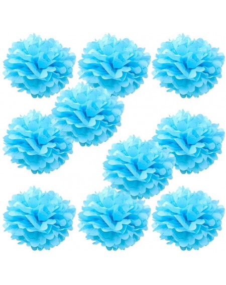 Tissue Pom Poms Set of 10 - Aqua Blue 8" - (10 Pack) Tissue Pom Poms Flower Party Decorations for Weddings- Birthday- Bridal-...