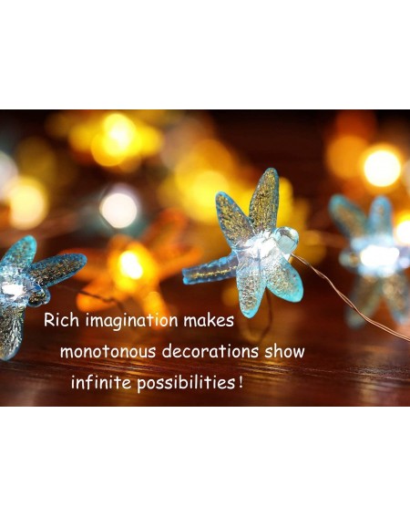 Indoor String Lights Dragonfly Decorative String Light-14.1Ft 40 Warm White LED Waterproof Battery Operated with Remote Timer...
