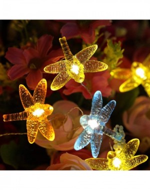 Indoor String Lights Dragonfly Decorative String Light-14.1Ft 40 Warm White LED Waterproof Battery Operated with Remote Timer...
