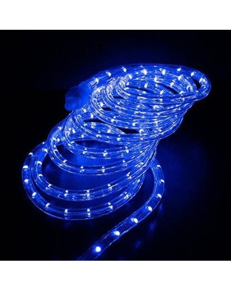 Rope Lights 10'- 25'- 60'- 150' ft (25' feet) Blue LED Rope Lights w/ 8 Mode Controller 2 Wire Accent Holiday Christmas Party...