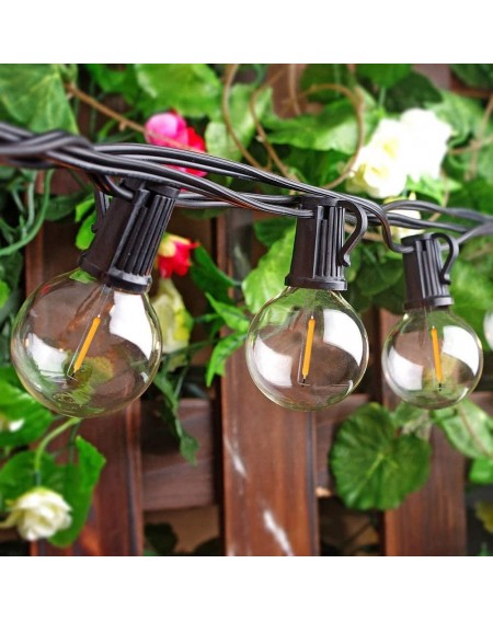 Outdoor String Lights 25 Ft Outdoor LED String Lights with 27 Shatterproof G40 LED Clear Globe Bulbs- Edison Vintage Bulbs Ha...