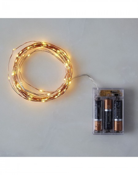 Indoor String Lights Starry String Lights Timer Battery Holder Case Operated Flexible Fairy Lights 9.8 Feet 30 LEDs Copper Wi...
