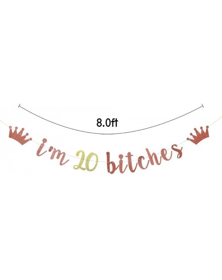 Banners & Garlands I'm 20 Bitches Banner- 20th Birthday Party Decor- Funny Twenty Years Old Birthday Banner- Girl's 20th Birt...