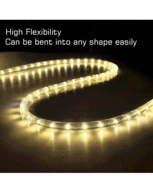 Rope Lights DELight 50 FT Warm White 2 Wire LED Rope Light Outdoor Home Holiday Valentines Party Restaurant Cafe Decoration -...