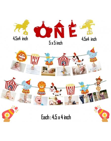 Banners Set of 3 Circus 12 Month Photo Banner The Big One Circus Birthday Banner Circus One Banner Carnival Photo Banner Circ...