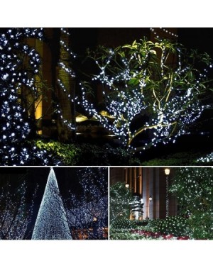Outdoor String Lights Christmas String Lights- 33ft 100 LEDs with Controller Fairy Twinkle Lights Decoration for Chirstmas Tr...