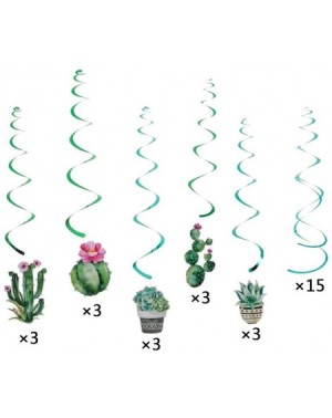 Balloons Cactus Party Decorations Set Cactus Hanging Ceiling Swirls Paper Tassel Garland Summer Fiesta Party Kids Birthday Pa...