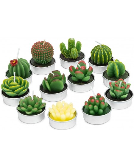 Birthday Candles Handmade Delicate Succulent Cactus Candles for Birthday Party Wedding Spa Home Decoration- 12 Pcs in Pack. -...